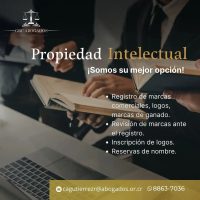 Propiedad Intelectual