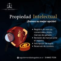 Propiedad Intelectual-1
